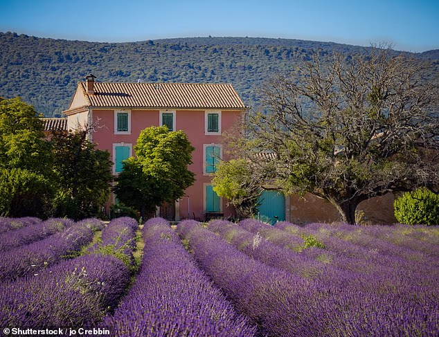 Buying into the dream: More than 20,000 Brits make the move to France every year... but while houses are often cheaper, renovations can be both expensive and gruelling to carry out