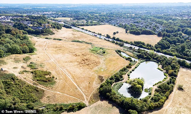 Stoke Park in Bristol is pictured today after being left with parched grass by the dry weather