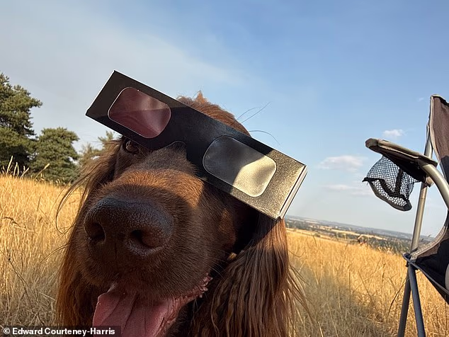 One happy pooch donned protective eyewear to accompany its owner while watching the eclipse
