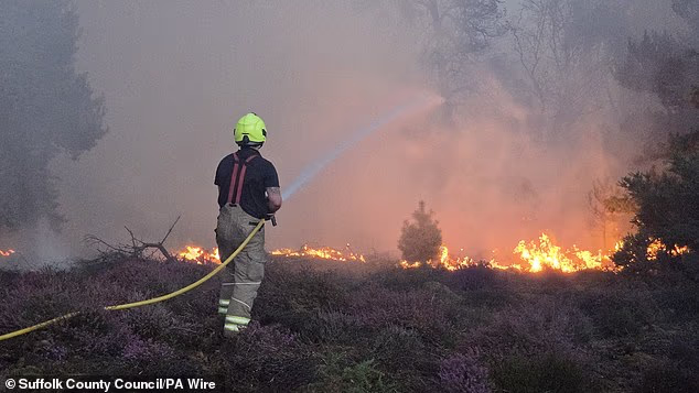 Firefighters battling a wildfire at Dunwich Heath, near Leiston in Suffolk, on July 30. There is no suggestion this fire was as a result of rewilding