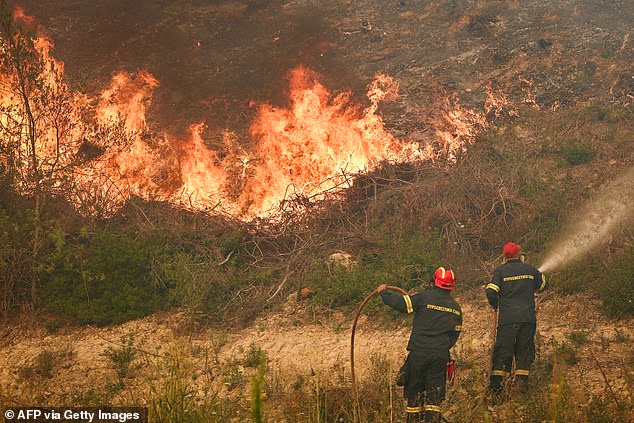Firemen work to extinguish a wildfire near the village of Siviri, northern Greece, on August 13
