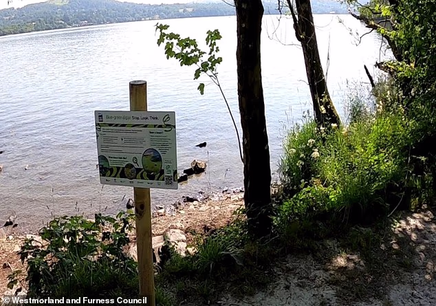 Signs are being installed by Lake Windermere and other locations across Cumbria warning tourists about potentially dangerous blooms of algae