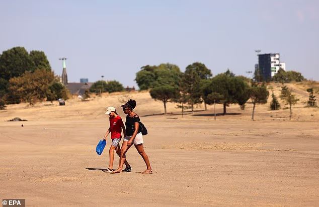 Many of the parks in London have experienced no rain and the ground has been turned a sand-like brown from the heat