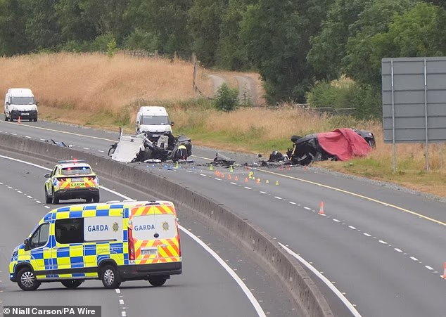 Five teenage boys who were in a car which was driving the wrong way down a motorway in Ireland before crashing have died. Pictured: The scene on the M9 northbound at Junction 3