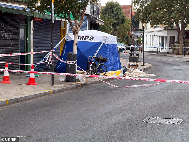 The Metropolitan Police have launched a murder probe following a stabbing of a 52-year-old woman in Shepherd's Bush, west London , on Tuesday (Pictured: A cordon on the street)
