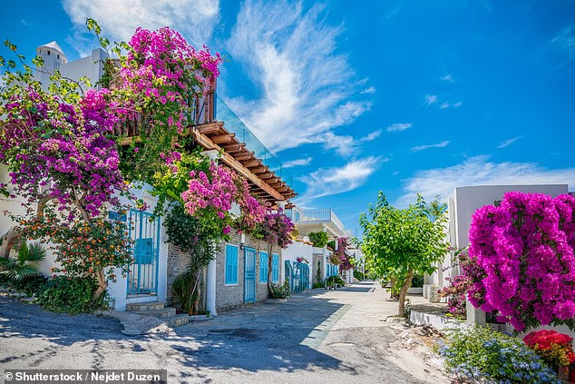 Picturesque: Turkey is a popular location for British holidaymakers (stock photo)