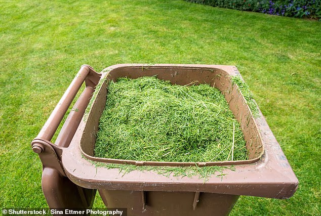 Cutting corners: A This is Money reader pays extra for 10 garden waste bin collections every year, but one was missed