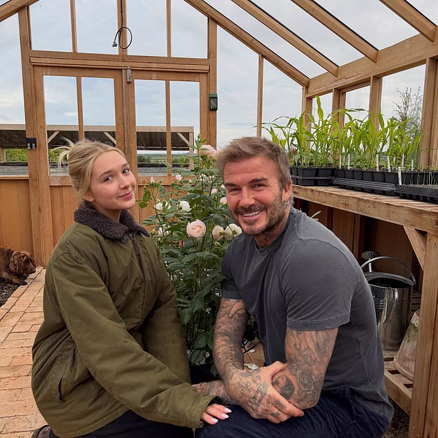 Sir David Beckham has applied to trademark the distinctive rose his daughter Harper devised for his 50th birthday present