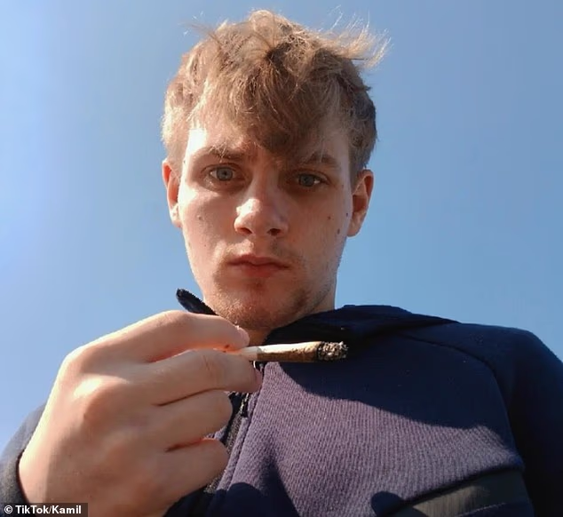 The heartbroken mother of the Limerick teenager killed in the horror M9 crash has insisted that the 'lost boy' was not the leader of the gang that was involved in the head–on collision