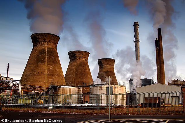 Iranian hackers shut down a UK power plant for four days in an unprecedented cyber attack on Britain, it has been revealed (file pic)