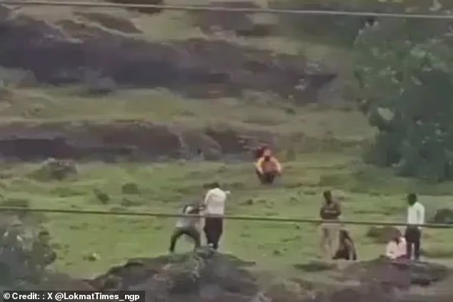 A teenager and his parents plunged to their deaths from Khawadya Hill, India, after arguing over a phone