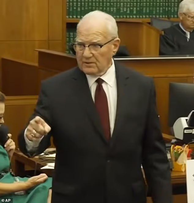 Kevin Reddington, Lindsay Clancy's defense attorney, called her a 'damn good mother' who did 'nothing wrong' before she strangled her children to death during closing arguments on Thursday