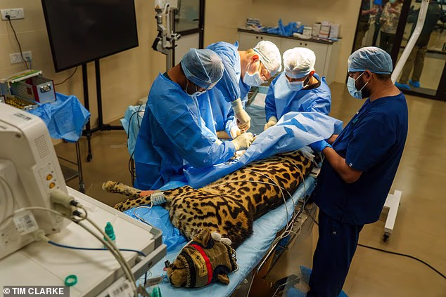 Dorcas having her broken tibia pinned at one of the operating theatres at the centre