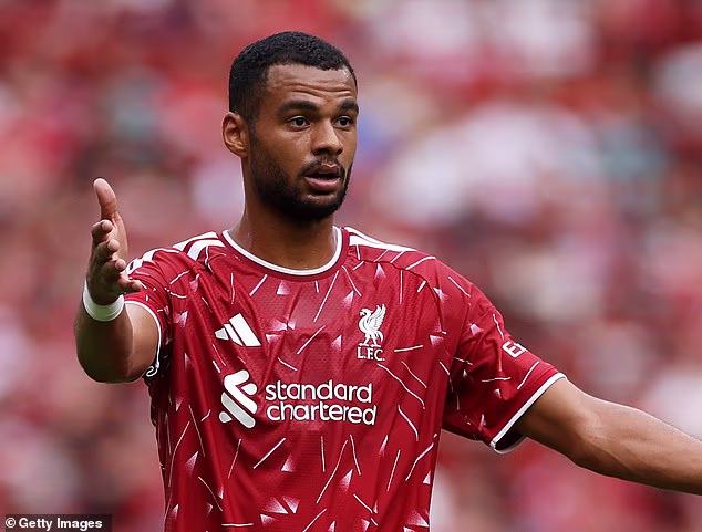 Cody Gakpo wants Man City move: Liverpool star rejects Spurs in favour of Etihad switch with clubs working to strike agreement for 'substantial' fee