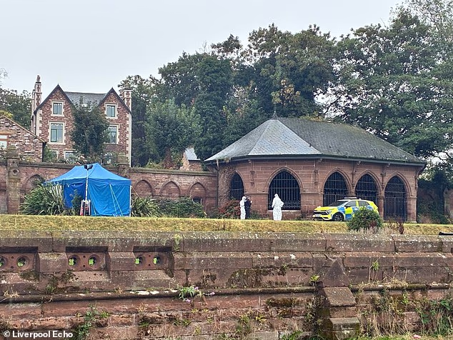 Officers were called to Stanley Park on Friday afternoon following reports of a body discovered in a walled garden area. Forensics are pictured here at the scene