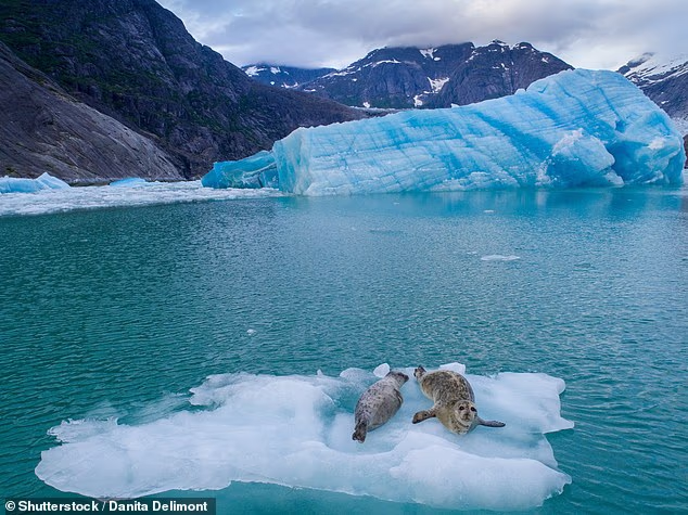 The views and wildlife you'll see on board an Alaska cruise are unparalleled