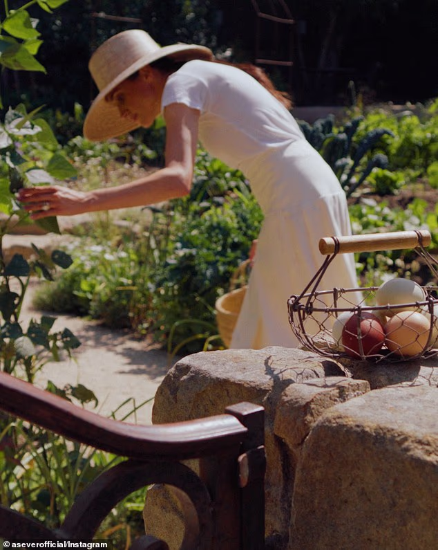 Meghan's As Ever brand shared this shot of the Duchess picking fruit in what appears to be her Montecito garden