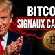 BITCOIN : ces deux signaux ne mentent pas (sans filtre)