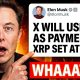 XRP AND ELON MUSK PARTNERSHIP??!! (XRP JUMP TO $680 SPECULATION?!)
