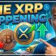 Can Ripple XRP Flip Bitcoin? The Cryptocurrency Market Is Not Ready For This Answer