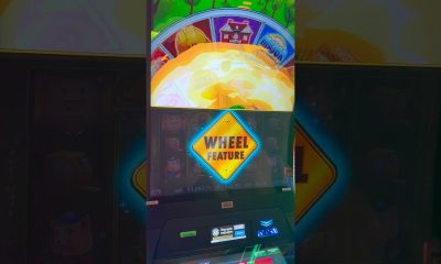 WE GOT BUZZSAWS BABY! #gambling #casino #money #comedy #slots