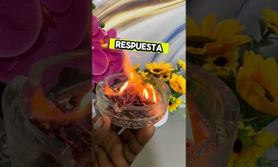 Una persona fallecida de tu familia #plantas #money