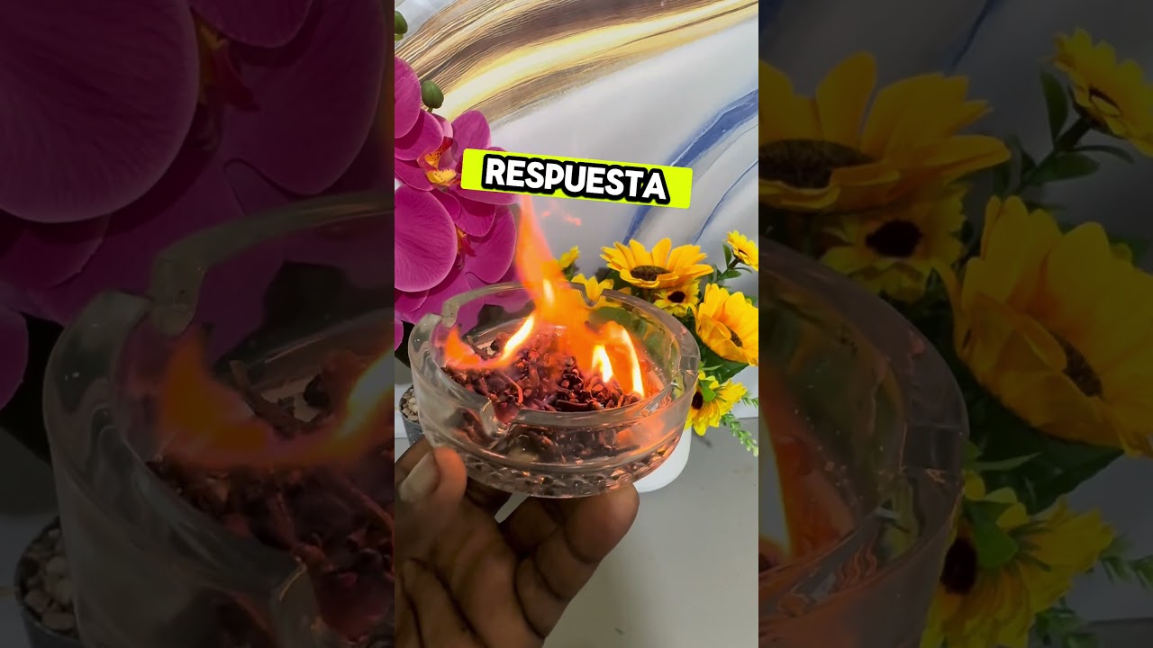 Una persona fallecida de tu familia #plantas #money