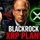 BlackRock CEO Just EXPOSED Their XRP Plan (This Is INSANE!)