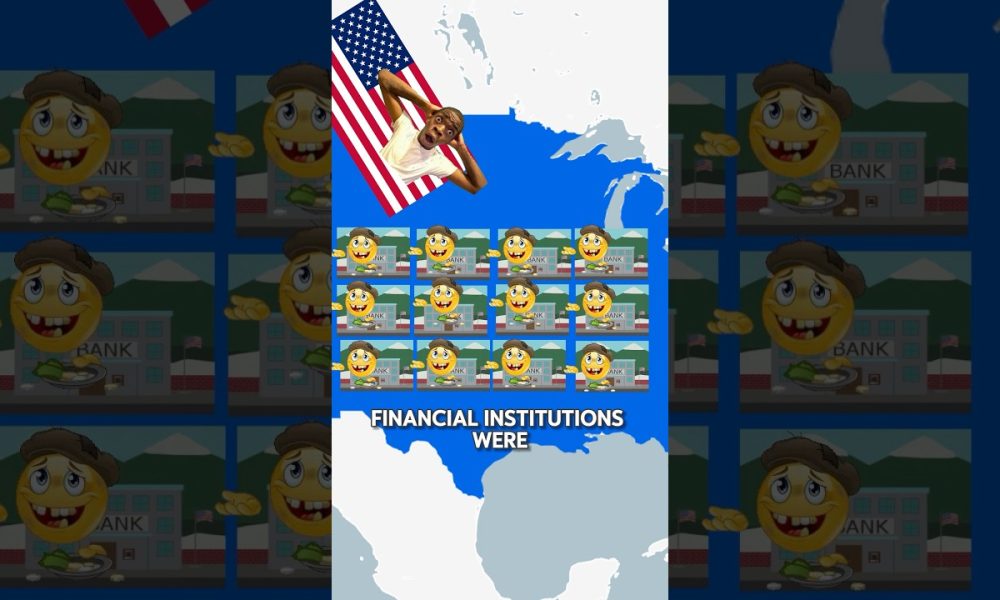 How Did Countries React to the 2008 Financial Crash?