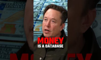Elon: What Is Money?