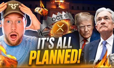 Ripple XRP WARNING: The FINAL Crash Hits On This Date! (DON'T SELL)