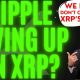Former Ripple Executive Drops a BOMBSHELL About XRP's Price! Should XRP Holders Give Up On XRP!? WTF