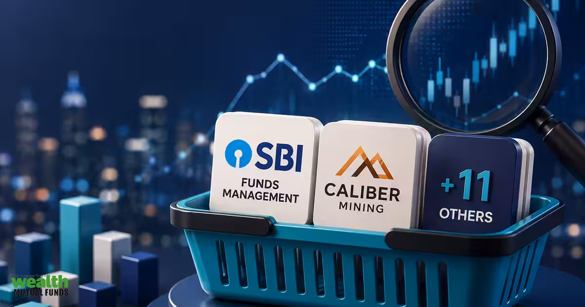 Quant Small Cap Fund adds SBI Funds Management, Caliber Mining and 11 others in July