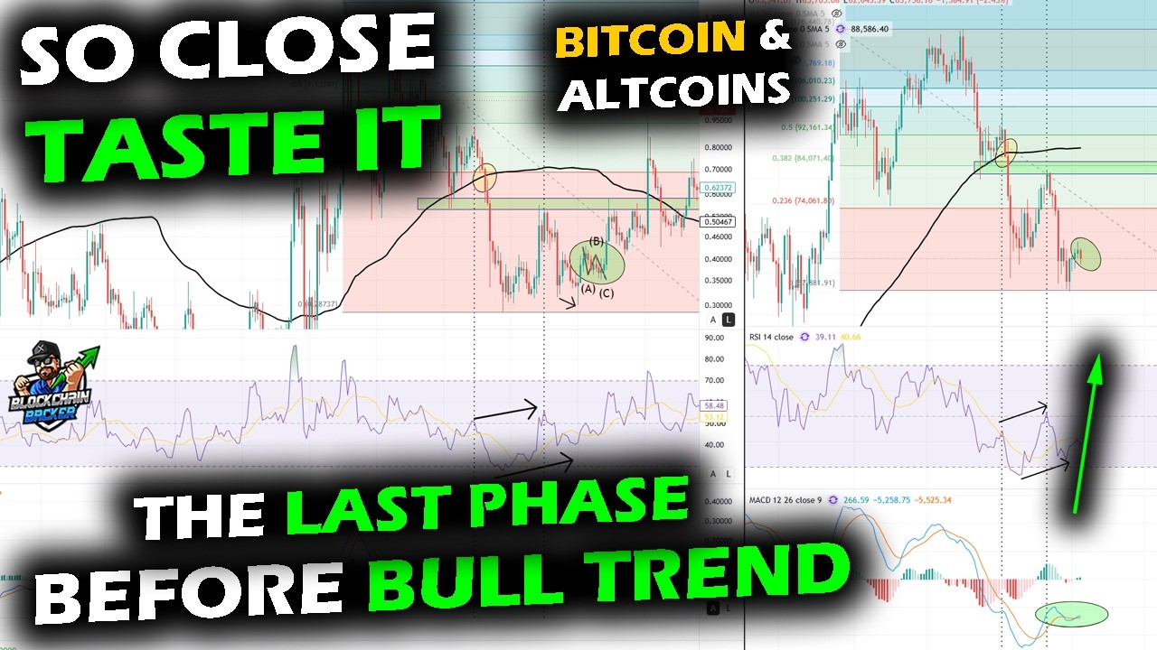 The Setup for the Bull Market for Bitcoin Price Chart, Altcoin Market and XRP, Rinse and Rise