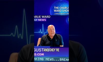 Financial System Collapse Imminent: Brace for Change! #shorts