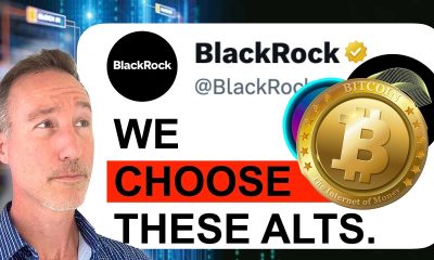 Wall Street, BlackRock & Banks Chose THESE Crypto Winners.