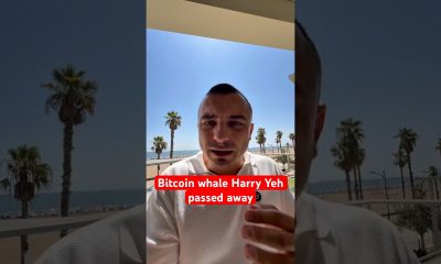 Bitcoin whale Harry Yeh, Fantom Co-Founder passes away in Paraguay #crypto