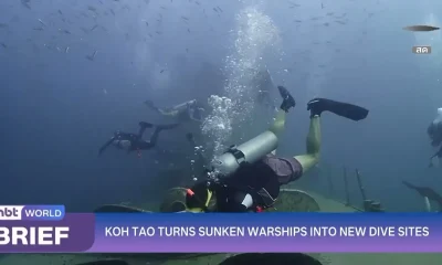 Koh Tao Transforms Sunken Warships into New Dive Sites