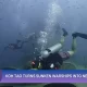 Koh Tao Transforms Sunken Warships into New Dive Sites