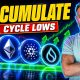 Altcoins Are At Cycle Lows...This Is What Crypto Accumulation Looks Like!