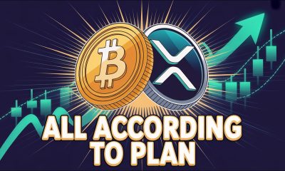 XRP & Bitcoin Interest Surges We're About To See Something Insane In the Cryptocurrency Market