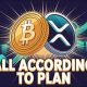 XRP & Bitcoin Interest Surges We're About To See Something Insane In the Cryptocurrency Market