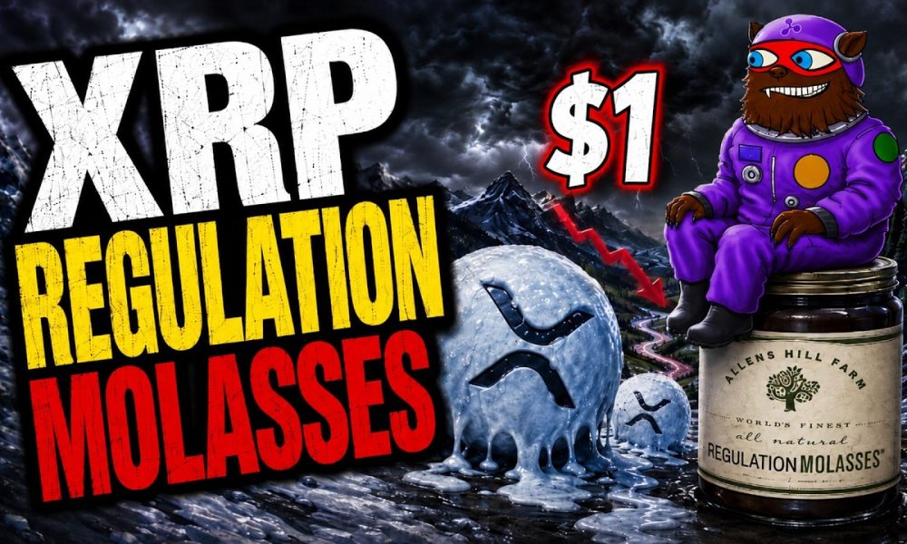 Is XRP Really Going to Zero? Why This Is a Massive Buy Signal