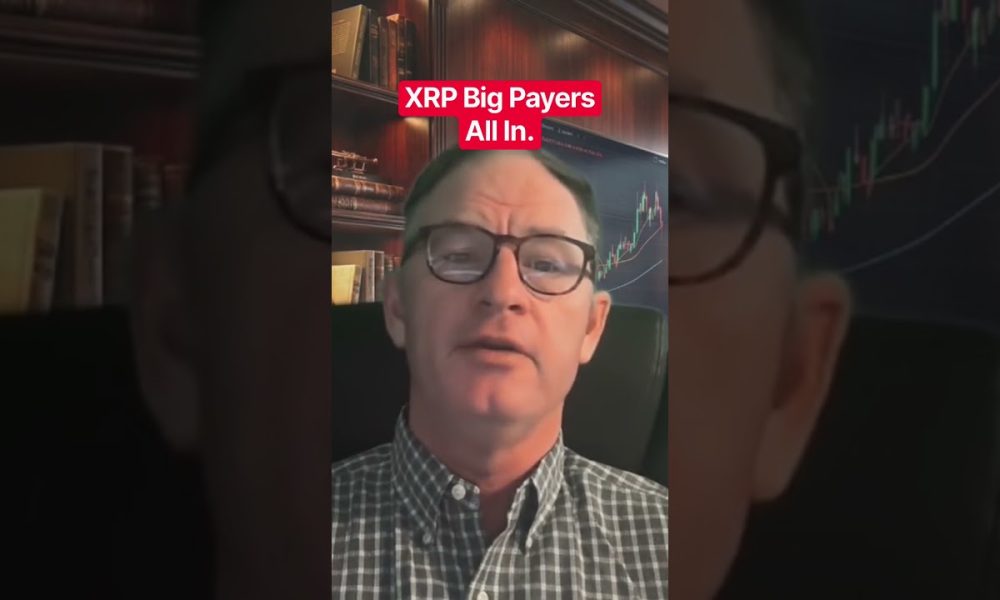 XRP Big Players All In. #xrp #crypto @digitalassetinvestor