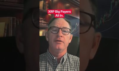 XRP Big Players All In. #xrp #crypto @digitalassetinvestor