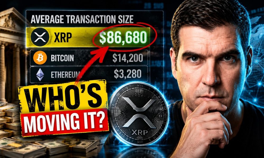 XRP Holders Need to See This Data