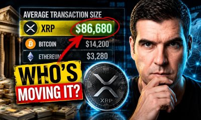 XRP Holders Need to See This Data