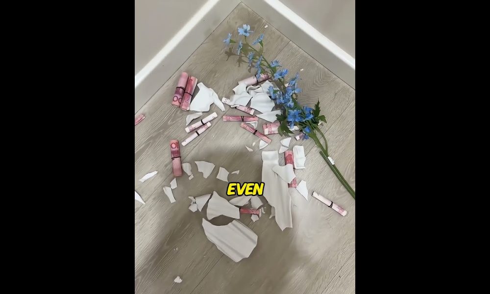 My Cat Found $10,000 Hidden in My House #shorts #cat #money