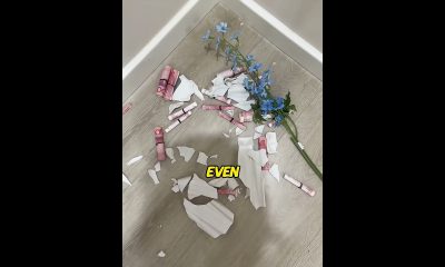My Cat Found $10,000 Hidden in My House #shorts #cat #money
