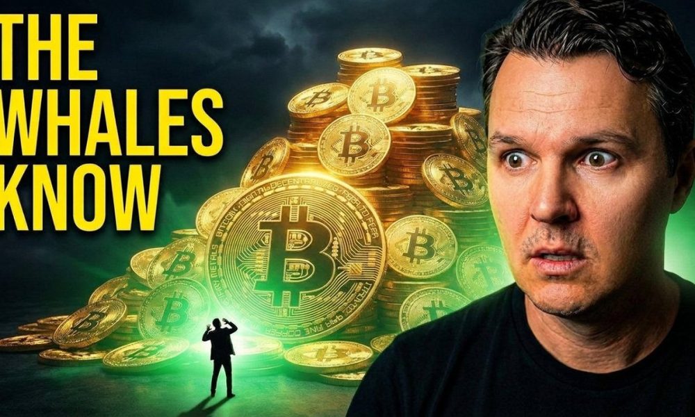 Now Is A Great Time To Buy Crypto
